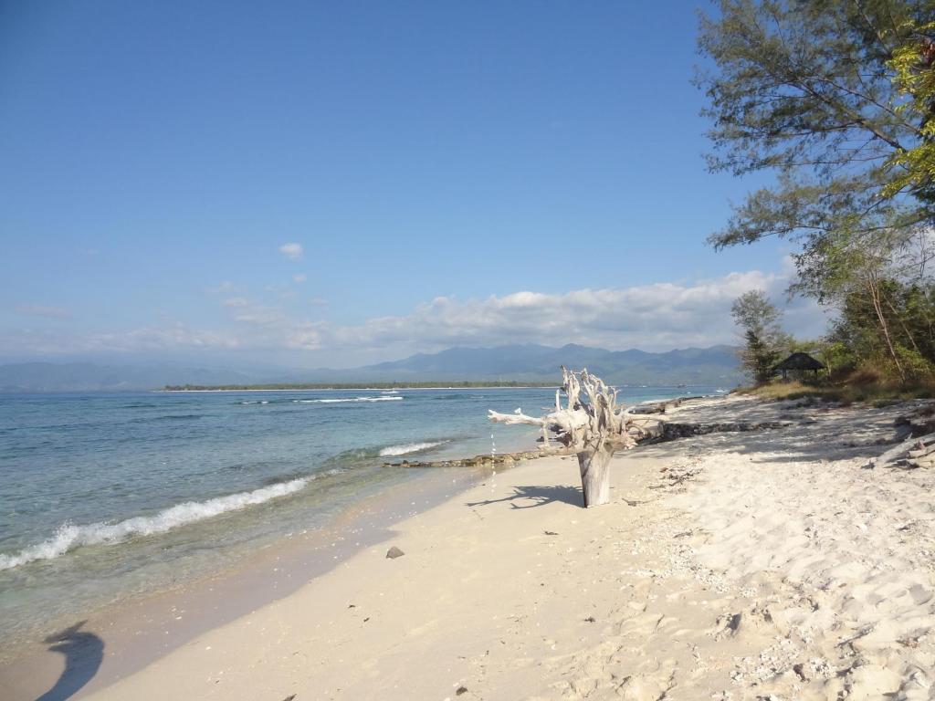Kalinka Inn Ilhas Gili Exterior foto
